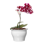 Vaso Cerâmico Clássico Branco 13,5x20cm Cêramica Novo Tempo