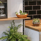 Vaso Cerâmico Suculentas 13x60 Boa Nova