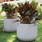 Vaso Cilíndrico Atenas Japi Off-white