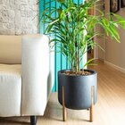 Vaso Cilíndrico Decore 33 Japi Chumba