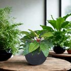 Vaso Cilíndrico Rustico 33 Japi Grafite