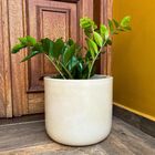 Vaso Cilindro Para Plantas De Polietileno 33cm Redondo - Bege