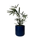 Vaso Cilindro Para Plantas De Polietileno 40cm Redondo - Azul