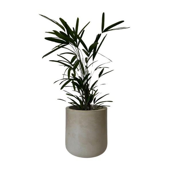 Vaso Cilindro Para Plantas De Polietileno 40cm Redondo - Bege