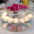 Vaso Cilindro Para Terrário De Suculentas, Centro De Mesa Vel