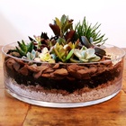 Vaso Cilindro Para Terrário De Suculentas, Centro De Mesa Vel