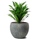 Vaso Cimento Fay Ouro Azul 12x16cm Ts