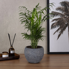 Vaso Cimento Fay Ouro Azul 12x16cm Ts