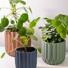 Vaso Cimento Linhas Terracota