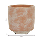 Vaso Cimento Saar Terra 8x8cm Ts