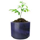 Vaso Classic Cilíndrico Baixo 32 (35l)azul Cobalto Nutriplan