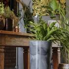 Vaso Classic Cone 70 Nutriplan Grafite