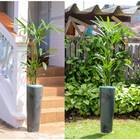 Vaso Classic Cone 70 Nutriplan Grafite