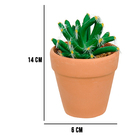 Vaso Com Cacto Castelo De Fada Verde 14x6 Cm F04 - D'rossi