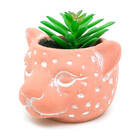 Vaso Com Planta Cabeça Onça Barro - Pequeno