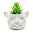 Vaso Com Planta Cabeça Onça Cimento - Pequeno