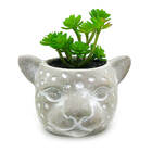 Vaso Com Planta Cabeça Onça Cimento - Pequeno