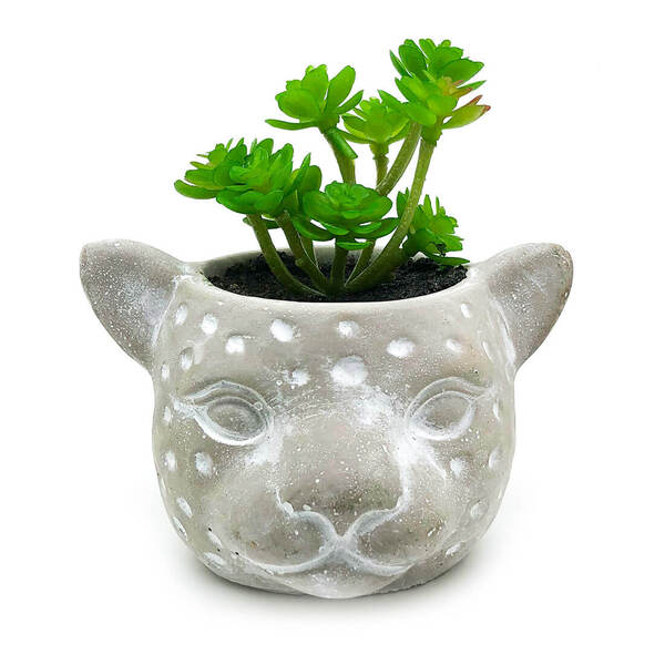 Vaso Com Planta Cabeça Onça Cimento - Pequeno