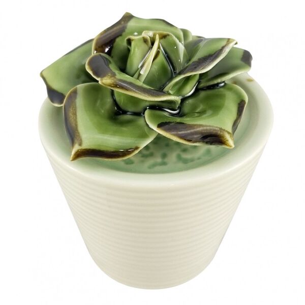 Vaso Com Suculenta De Ceramica 7 4cm X 7 4cm X 8 2cm