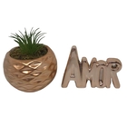 Vaso Com Suculenta E Palavra Amor Rose Gold