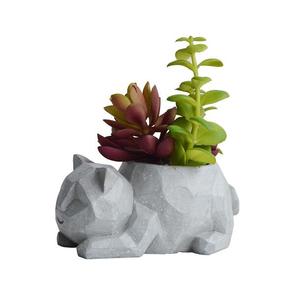 Vaso Com Suculenta Em Cimento E Plástico L'hermitage Gato 12