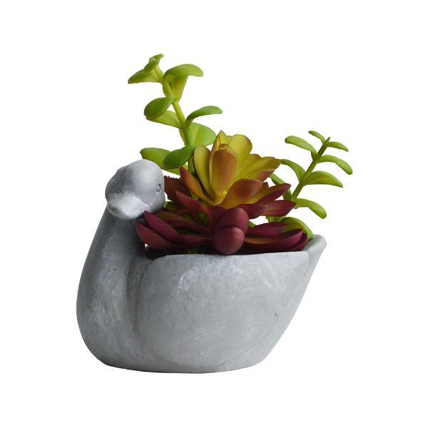 Vaso Com Suculenta Em Cimento E Plástico L'hermitage Pato 10x