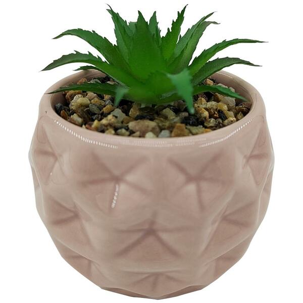 Vaso Com Suculenta Em Dolomita E Plastico D8,5xa10,5 Cor Rosa