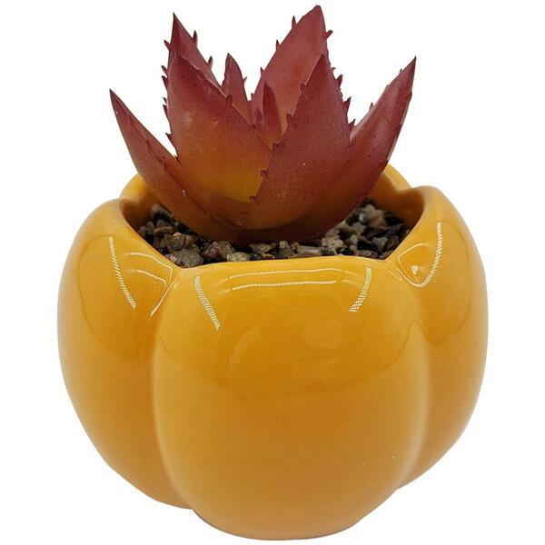 Vaso Com Suculenta Em Dolomita E Plastico D9,2xa12,8cm Cor La