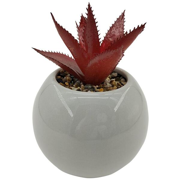 Vaso Com Suculenta Em Dolomita E Plastico D9,5xa12,5cm Cor Ci