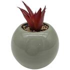 Vaso Com Suculenta Em Dolomita E Plastico D9,5xa12,5cm Cor Ve