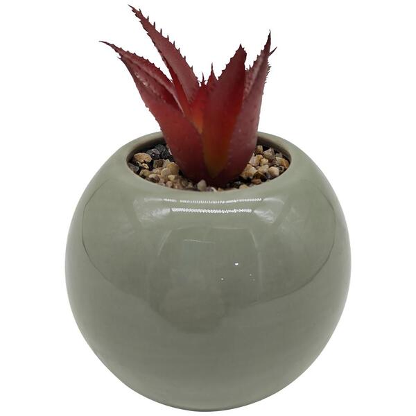 Vaso Com Suculenta Em Dolomita E Plastico D9,5xa12,5cm Cor Ve