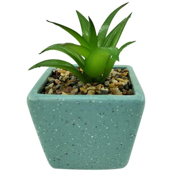 Vaso Com Suculenta Em Dolomita E Plastico L7,2xp7,2xa12cm Cor