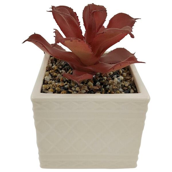 Vaso Com Suculenta Em Dolomita E Plastico L9,5xp9,5xa15cm Cor