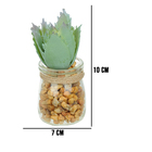 Vaso Com Suculenta Folha Alta Verde Claro 10x7 Cm F04 - D'ros
