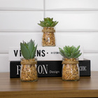 Vaso Com Suculenta Folha Alta Verde Claro 10x7 Cm F04 - D'ros