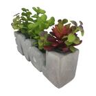 Vaso Com Suculenta L'hermitage Love Em Cimento - 28680