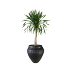 Vaso Comum Cerâmica Egito Preto 45x35cm Bella Art