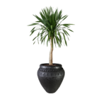 Vaso Comum Cerâmica Egito Preto 59x40cm Bella Art