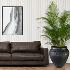 Vaso Comum Cerâmica Egito Preto 59x40cm Bella Art