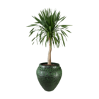 Vaso Comum Cerâmica Egito Verde 9x40cm Bella Art