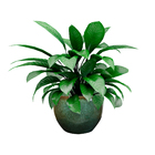 Vaso Comum de Cerâmica Bola Verde 35x38x35cm Bella Art Vetrificados