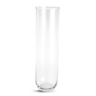 Vaso Comum de Vidro Cristal 44x12x12cm Mart