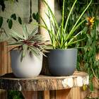 Vaso Concept Redondo N2 (13,3l) Cor Chumbo Japi