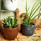 Vaso Concept Redondo N2 (13,3l) Cor Terracota Japi