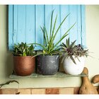 Vaso Concept Redondo N3 Japi Carrara