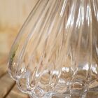 Vaso Concha Transparente