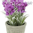 Vaso Concreto Flock Lavender Roxo Urban