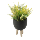 Vaso Concreto Preto Pé De Madeira Suculentas Flores Plantas D