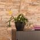 Vaso Cone Baixo 22 Preto Absoluto