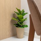 Vaso Cônico Aldora 26x18cm Bege